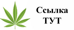 Купить наркотики в Черняховске